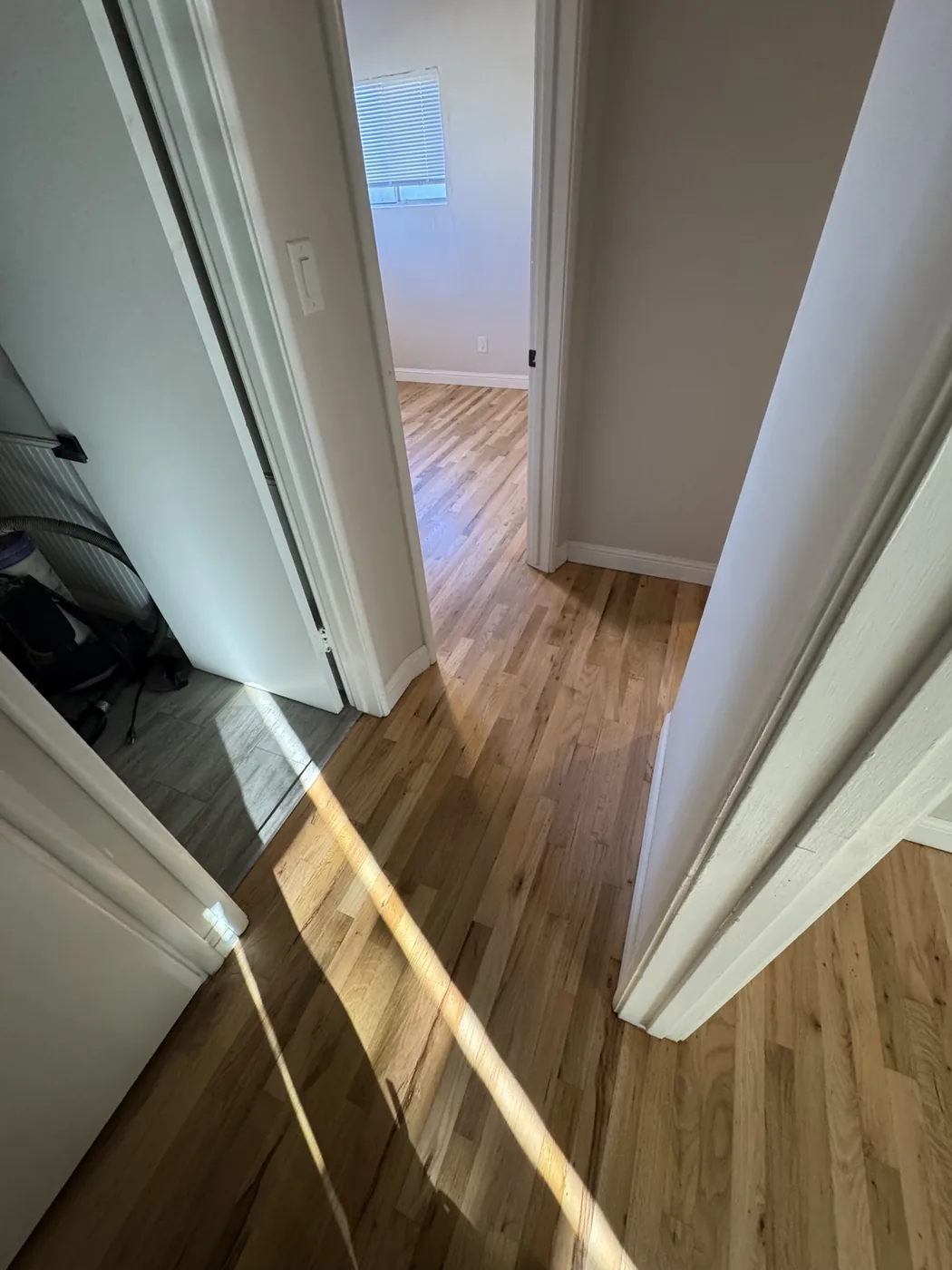 Red oak floor after natural refinishing